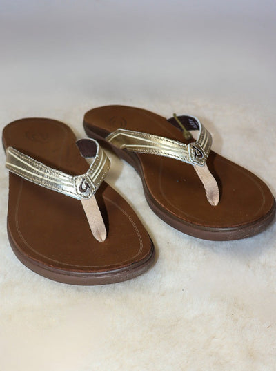 Brown leather beach sandals with metallic gold accent.